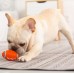 Pet dogs rugby, dog toys, puppies, biting and grinding teeth, vocalizing and relieving boredom